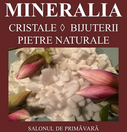 5-7.04 Expoziție: Mineralia