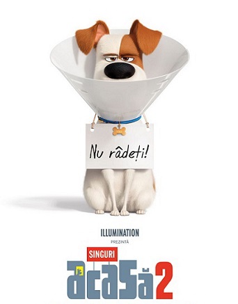 16.06 Film: The Secret Life of Pets 2