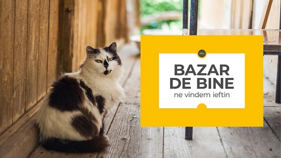 10.08 Eveniment caritabil: Bazar de bine