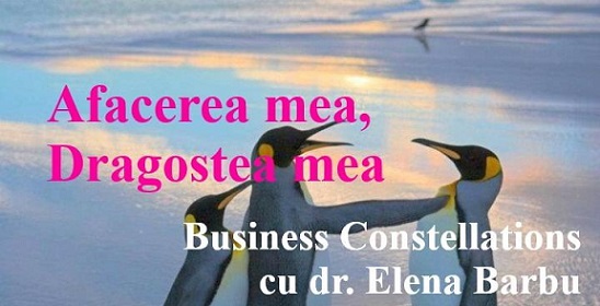 1.09 Workshop: Business Hellinger Constellations