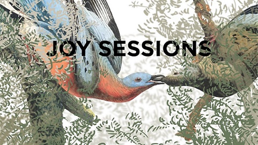 8.08 Proiect muzical: Joy Sessions
