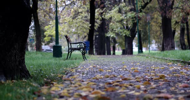 27-29.09 Ce facem weekend-ul acesta in Cluj