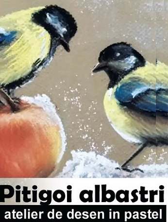 30.01 Atelier de desen in pastel pentru copii: Pitigoi albastri