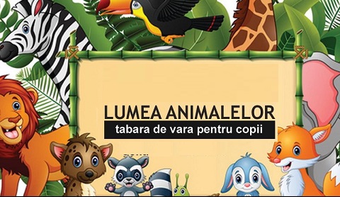 24-30.08 Sapte evenimente de neratat saptamana aceasta la Cluj