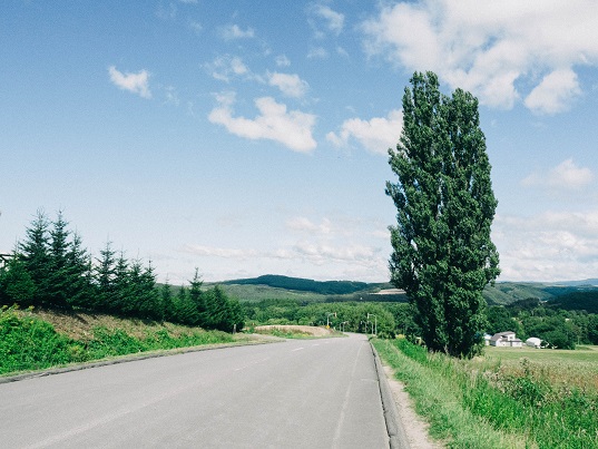 21-23.08 Ce facem weekend-ul acesta in Cluj