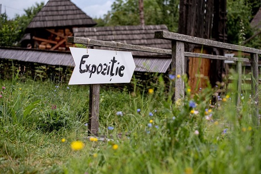 5-6.09 Expoziție: AiA la Sat 3