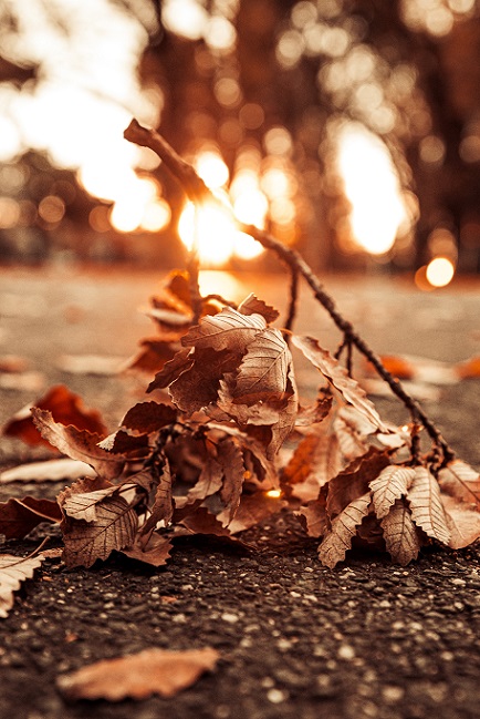 30.10-1.11 Ce facem weekend-ul acesta in Cluj