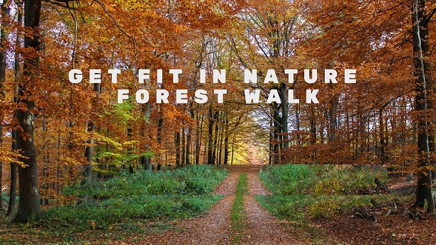 8.11 Forest Walk