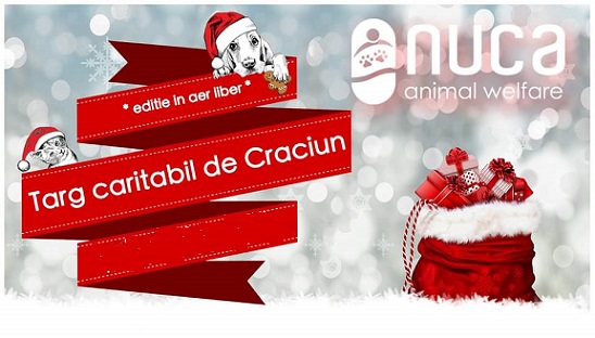 13.12 Eveniment caritabil: NUCA Christmas Fair