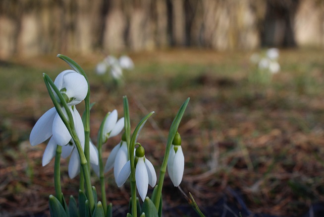 26-28.02 Ce facem weekend-ul acesta in Cluj