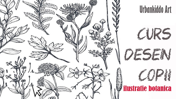 1.04 Curs desen: Ilustratie botanica
