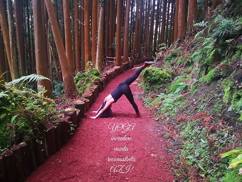 3.08  Yoga puterii in Parcul Central