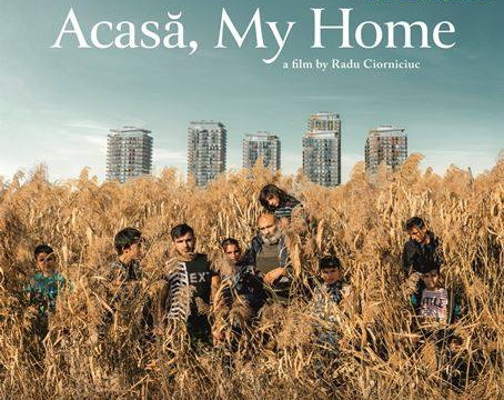 23.09 Vizionare KineDok: Acasă/ My Home