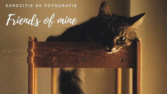15.09 Expozitie: Friends of mine