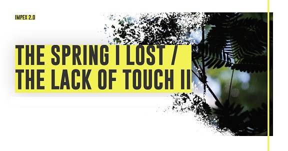 7.10 Expoziție: The Spring I lost / The lack of touch II