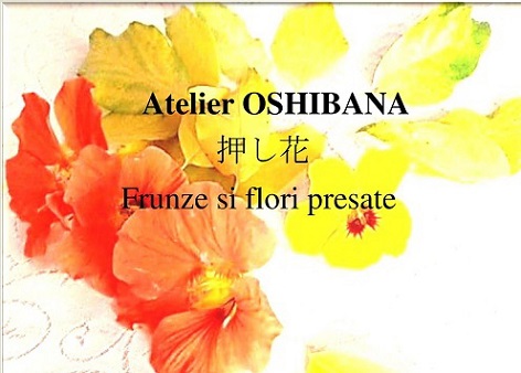 21.10 Atelier de frunze si flori presate
