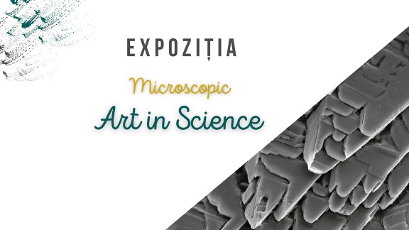 20.11-20.12 Expoziție: Microscopic Art in Science