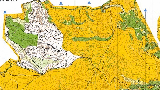 19.12 Orientare sportiva pe harta in Cheile Baciului