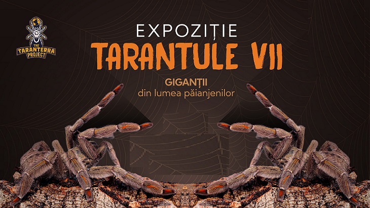 31.01-6.02 Sapte evenimente de neratat saptamana aceasta la Cluj