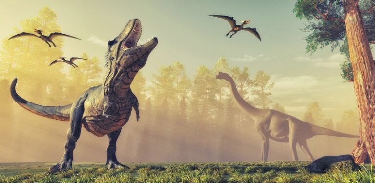 27.02 Expozitie: Dino Expo