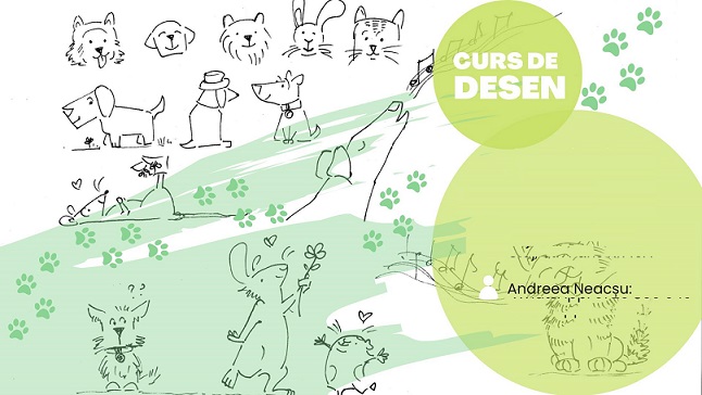 8.04 Curs de desen: Animale