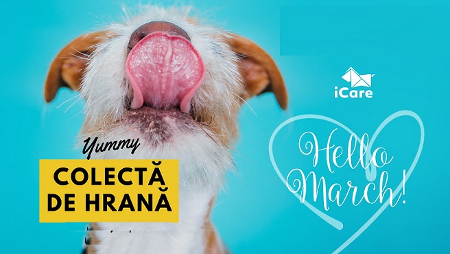 16-17.04 Colectă de Hrană: ICARE