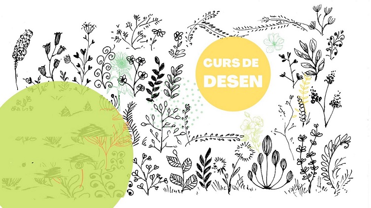 5.04 Curs de desen: Plante sălbatice