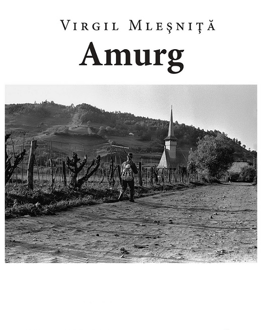 4-15.05 Expoziție: Amurg