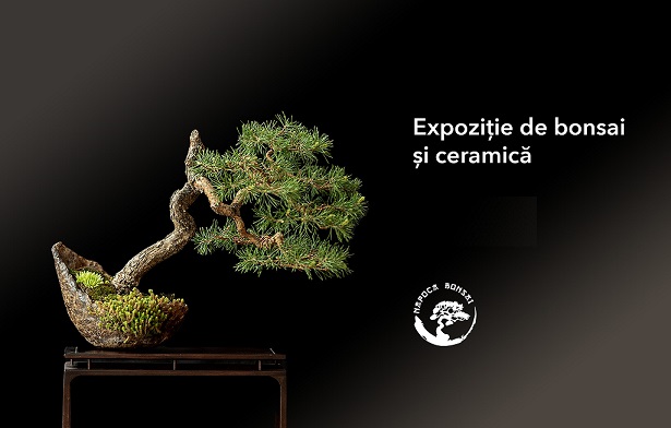 11-13.06 Expoziție de bonsai și ceramică