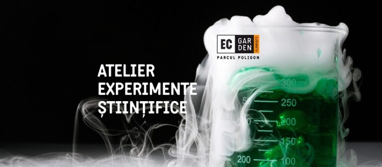 31.07 Atelier de experimente științifice