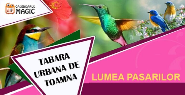 24-30.10 Sapte evenimente de neratat saptamana aceasta la Cluj
