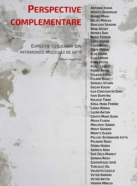 3.11 Expoziție: Perspective complementare