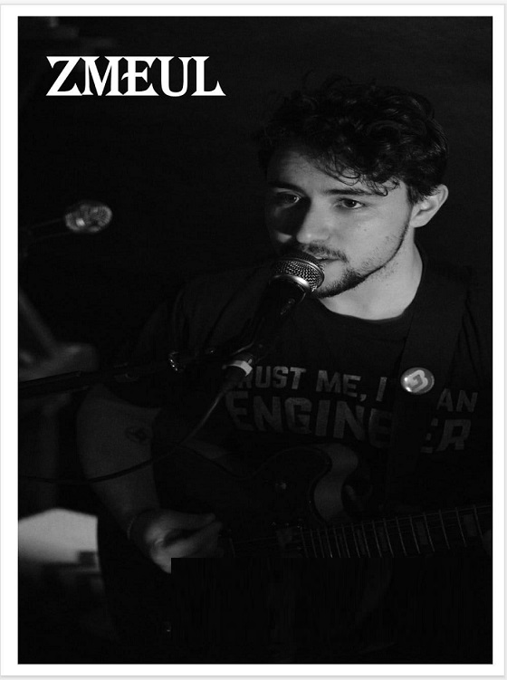 11.01 Concert: Zmeul