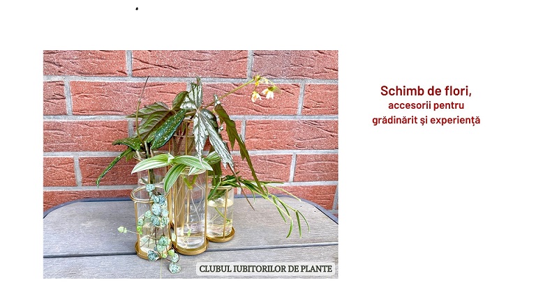 16.03 Schimb de flori