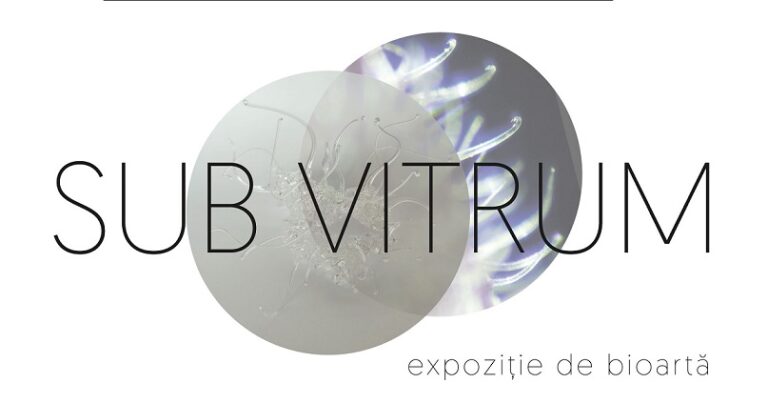 3–26.05 Expoziție: SUB VITRUM