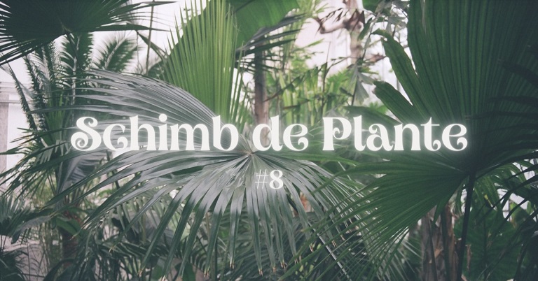 20.05 Schimb de Plante