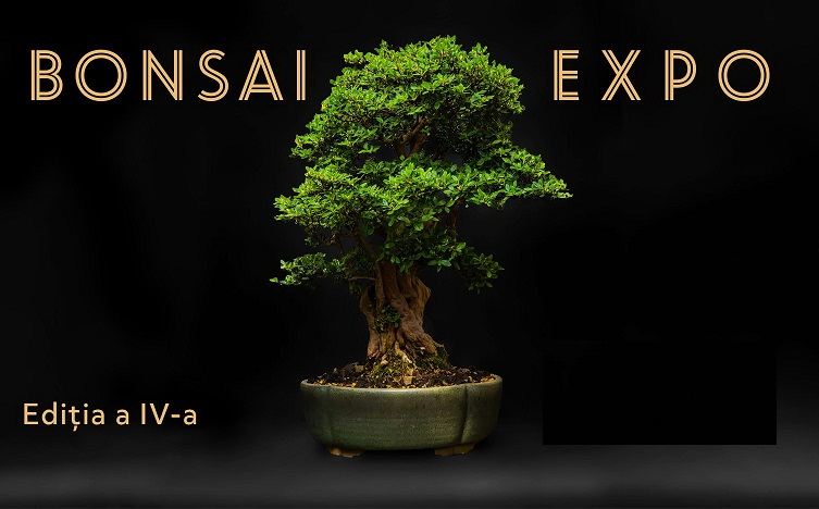 9-11.06 Bonsai Expo 2023