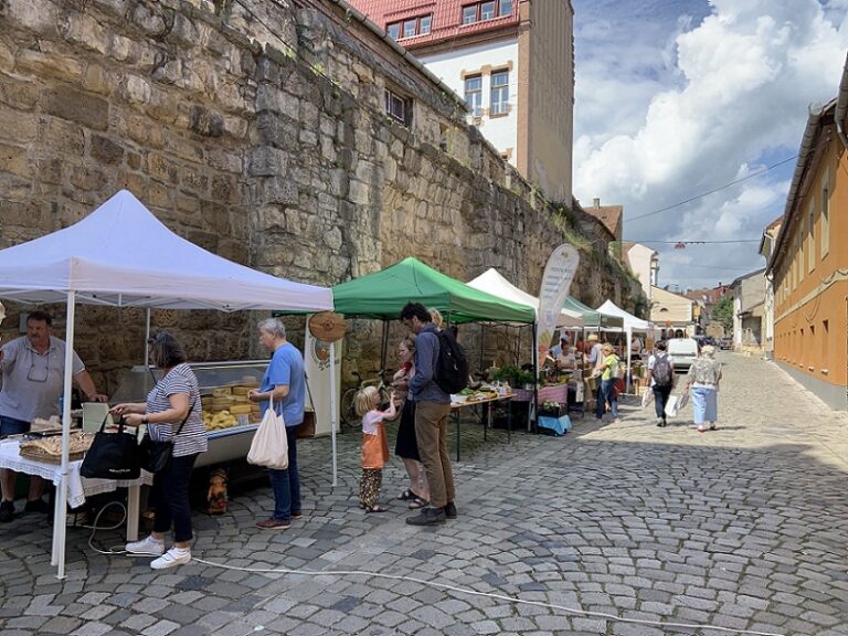 24-25.06 Satul vine oraș – Strada Potaissa