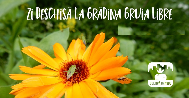 25.06 Zi deschisă la grădina Gruia Libre