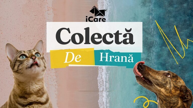 8-9.07 Colectă de hrană: ICARE