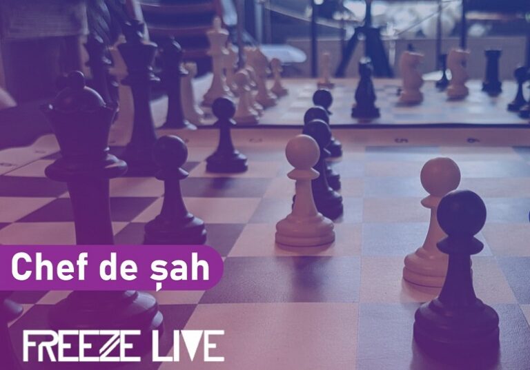 26.08 Chef de șah