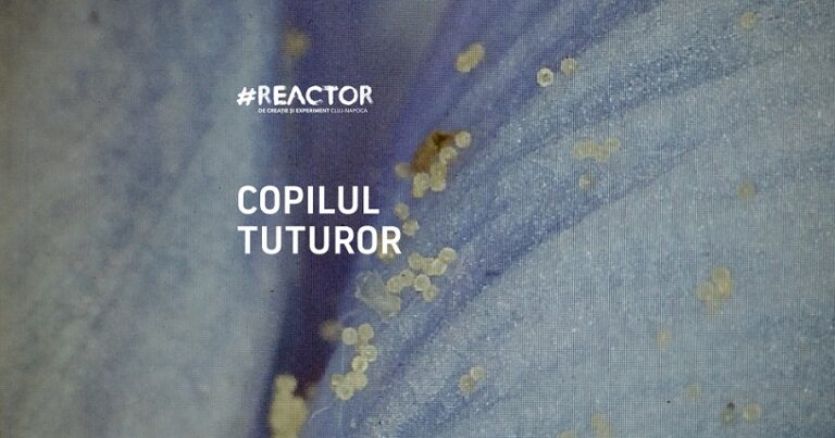3.09 Premieră One woman show: Copilul tuturor