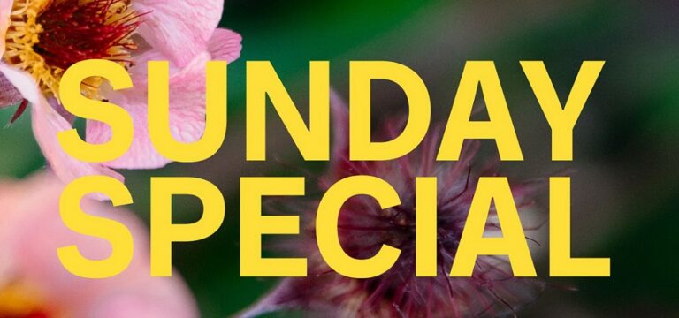 20.08 Sunday Special la Zazen