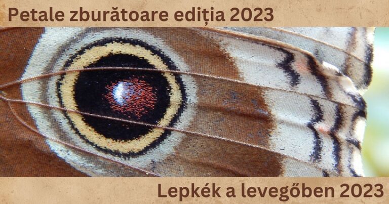29.09 Expoziție de fluturi vii: Petale Zburătoare