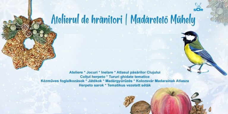 18.11 Atelierul de hrănitori