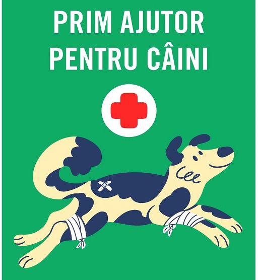 11.11 Curs: Prim Ajutor pentru Câini