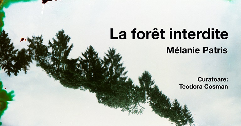 12.12 Expoziție: La foret interdite