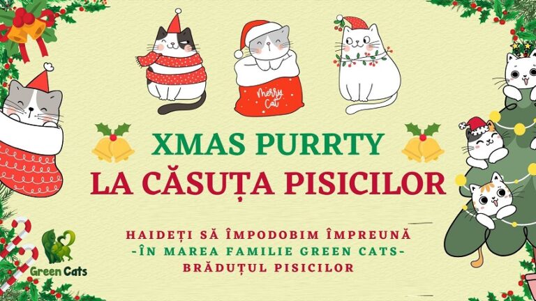 23.12 Party: Xmas Purrty