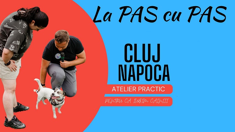 18.02 Atelier: La pas cu pas