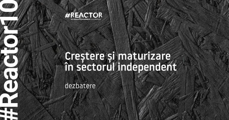 20.03 Dezbatere: Crestere si maturizare in sectorul independent